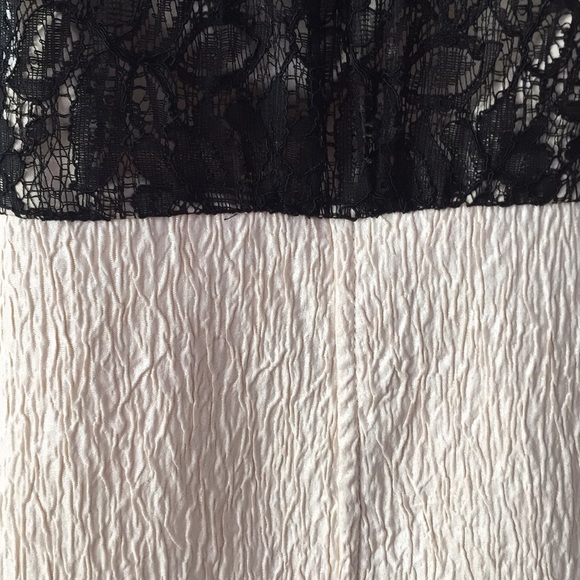 Lace Cocktail Dress - Picture 4 of 5